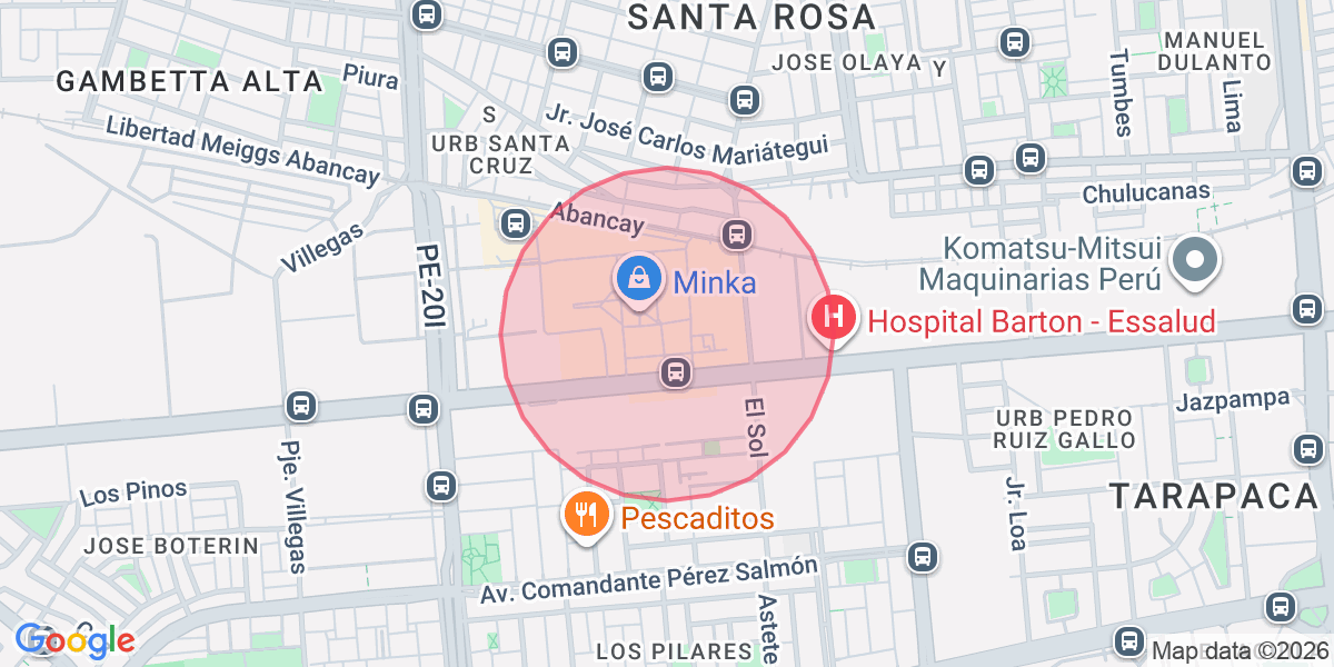 Zona aproximada de Alejandra 