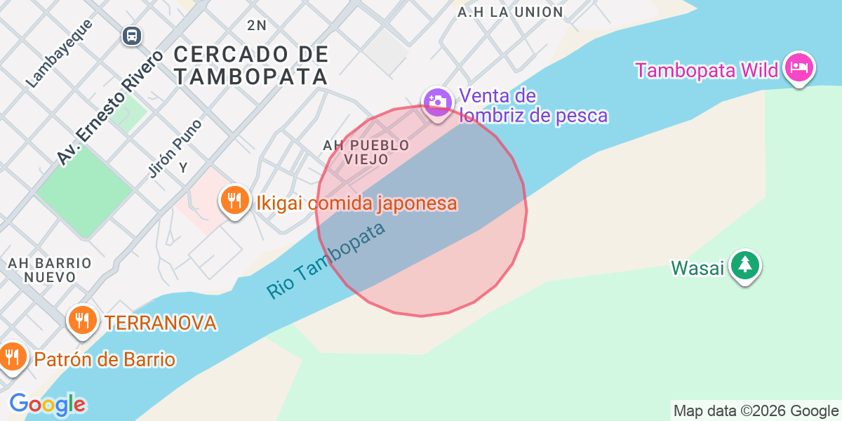 Zona aproximada de Alejandra